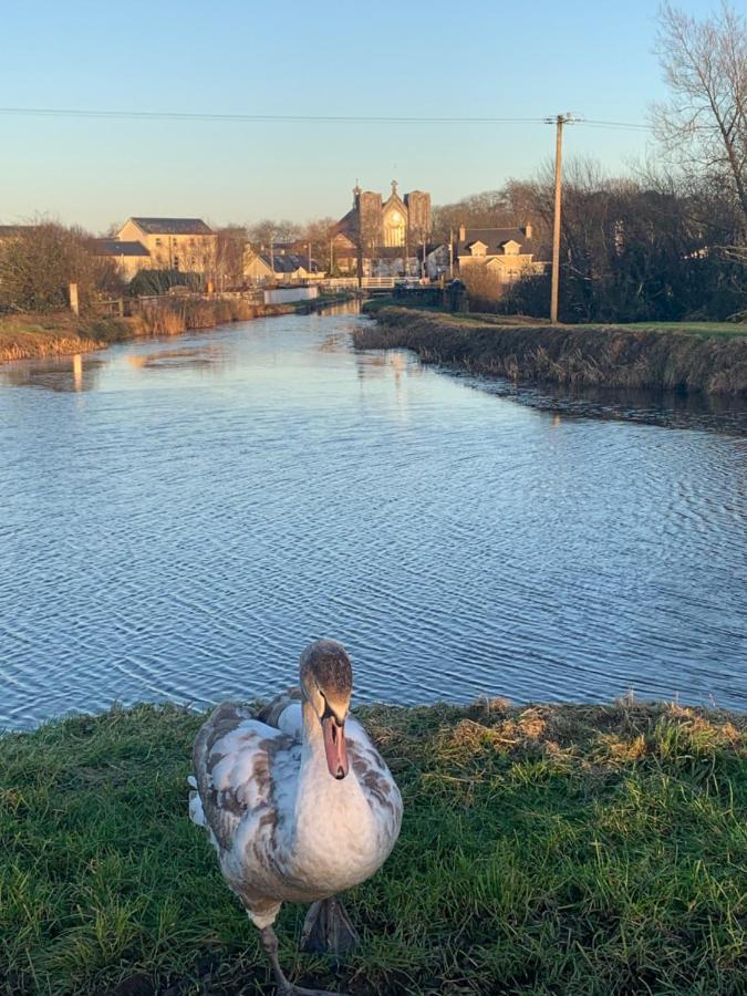 Monasterevin Stay Barrow Blueway - The Stables מראה חיצוני תמונה
