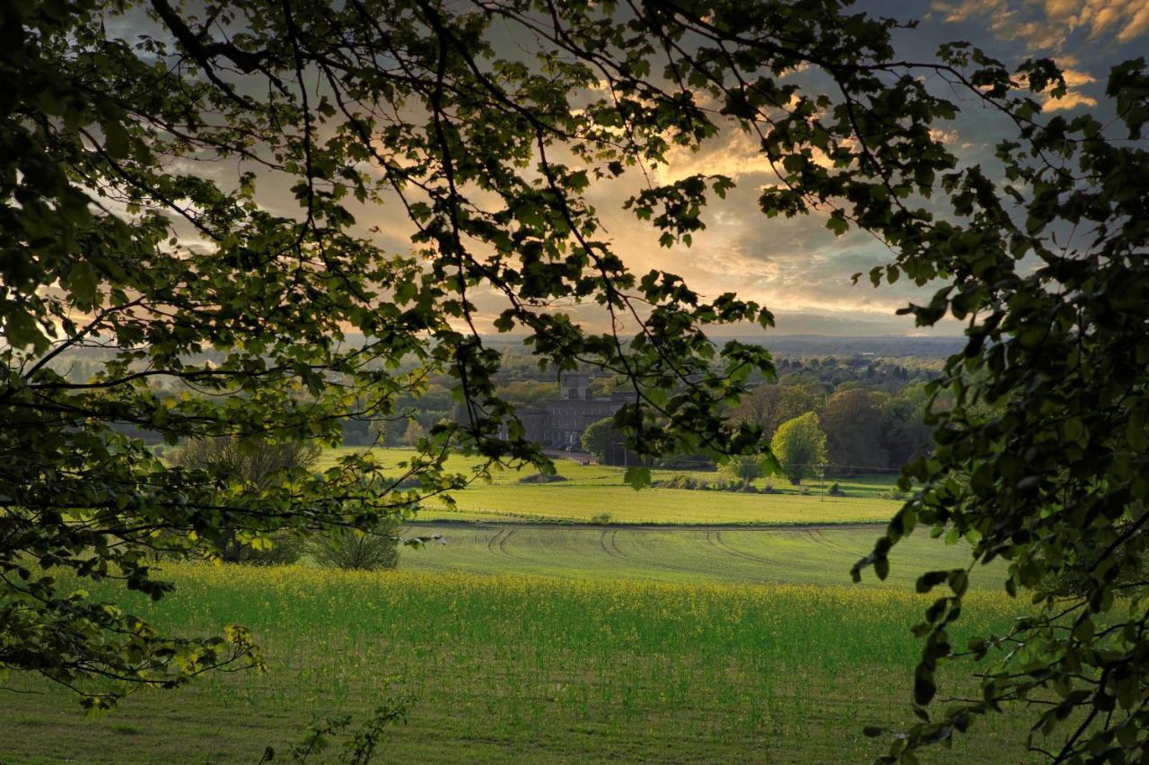 Monasterevin Stay Barrow Blueway - The Stables מראה חיצוני תמונה